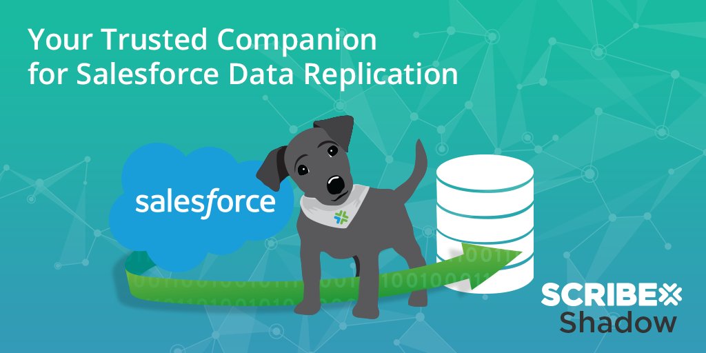 ScribeEMEA's tweet photo. How can you quickly & easily #replicate your #Salesforce data? Just choose #ScribeShadow. Check out our blog to learn more & try Shadow today! https://t.co/EADD9VTN5o https://t.co/52JgB3C5p3