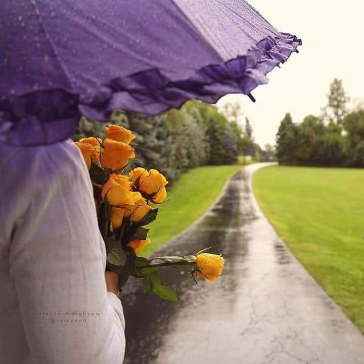 أوجعُ الأيّام بعد الحبِّ، ليس أوّلها، لأنّ النّبتة لا تتألّم فورَ انقطاع الماء، بل عندما يبدأ الجفافُ فعلاً.
"
              محمّد حسن علوان"💔
صباح الأمل💕