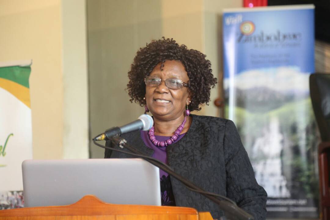 ZtaUpdates's tweet photo. Time to reengage - tune into #BBCFocusAfricaRadio and TV #BBCRadio4TodayNews #BBCWorldService #CoffeewiththeEditor and hear the #Zimbabwe story told by the Minister of Tourism and Hospitality Industry Hon P Mupfumira today @Tourismzim @tourismzimbabwe #visitzimbabwe https://t.co/3ZS7ilckwZ