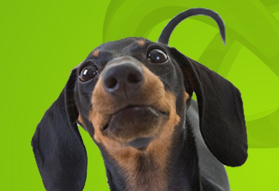 bonovate's tweet photo. Bonovate are creators of problem solving products for pet owners and the #veterinary industry. Visit our website to find out more. https://t.co/6ro7zBAOuf https://t.co/eqcHEGtzF3