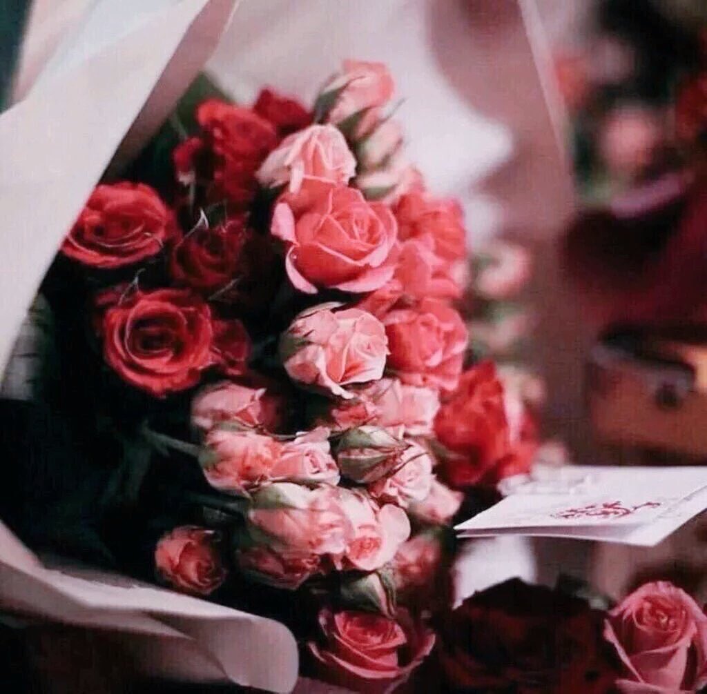 عبدالكريم الهندال Abdulkareem Alhendal 🇰🇼 tweet media