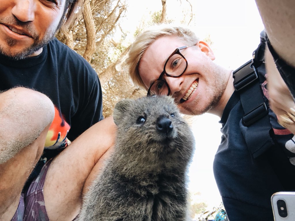 ElliottIngham's tweet image. They see pictures, they say goals @petewentz