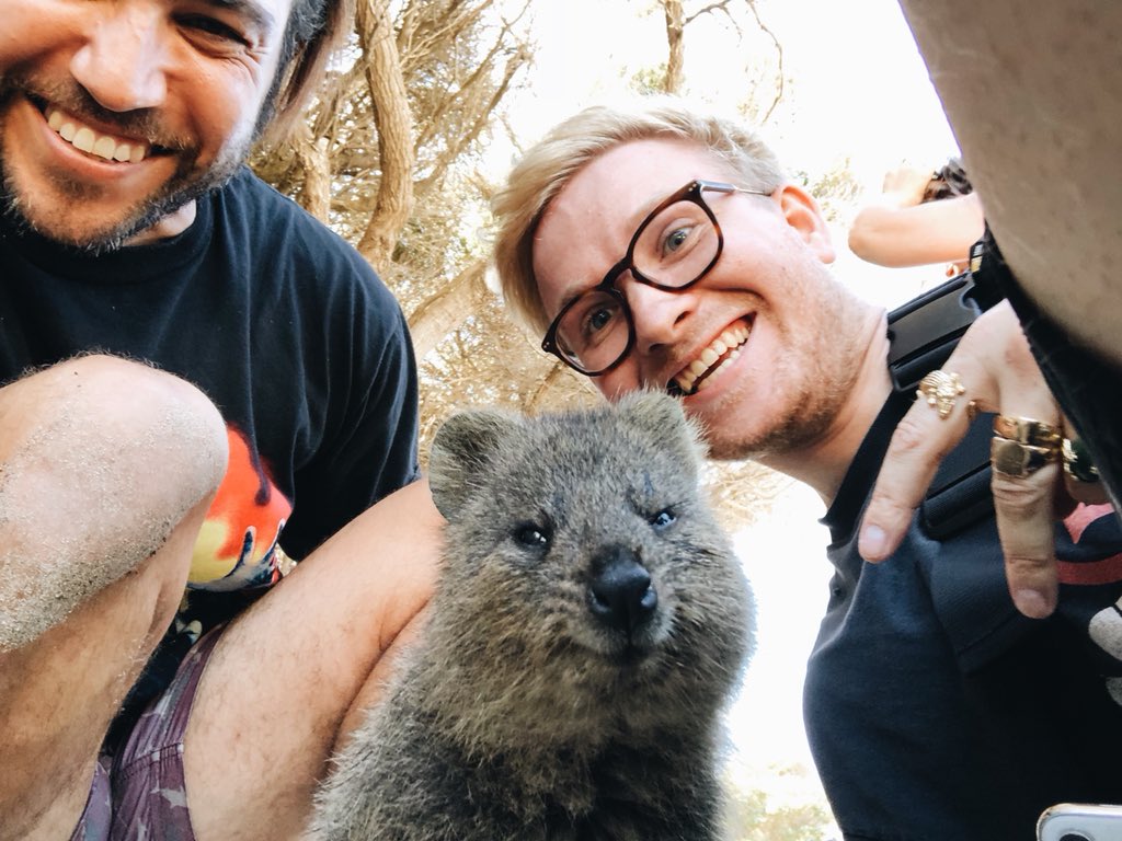 ElliottIngham's tweet image. They see pictures, they say goals @petewentz