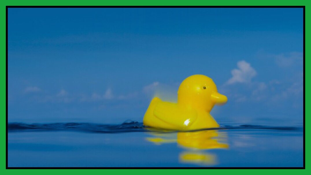 Alex_Verbeek's tweet image. 🌊 

Why marine animals can’t stop eating plastic 

Plastic doesn’t just look like food, it smells, feels and even sounds like food.

ow.ly/jKml30iKBIq

#oceans #plasticwaste #wildlife #nature #plastic