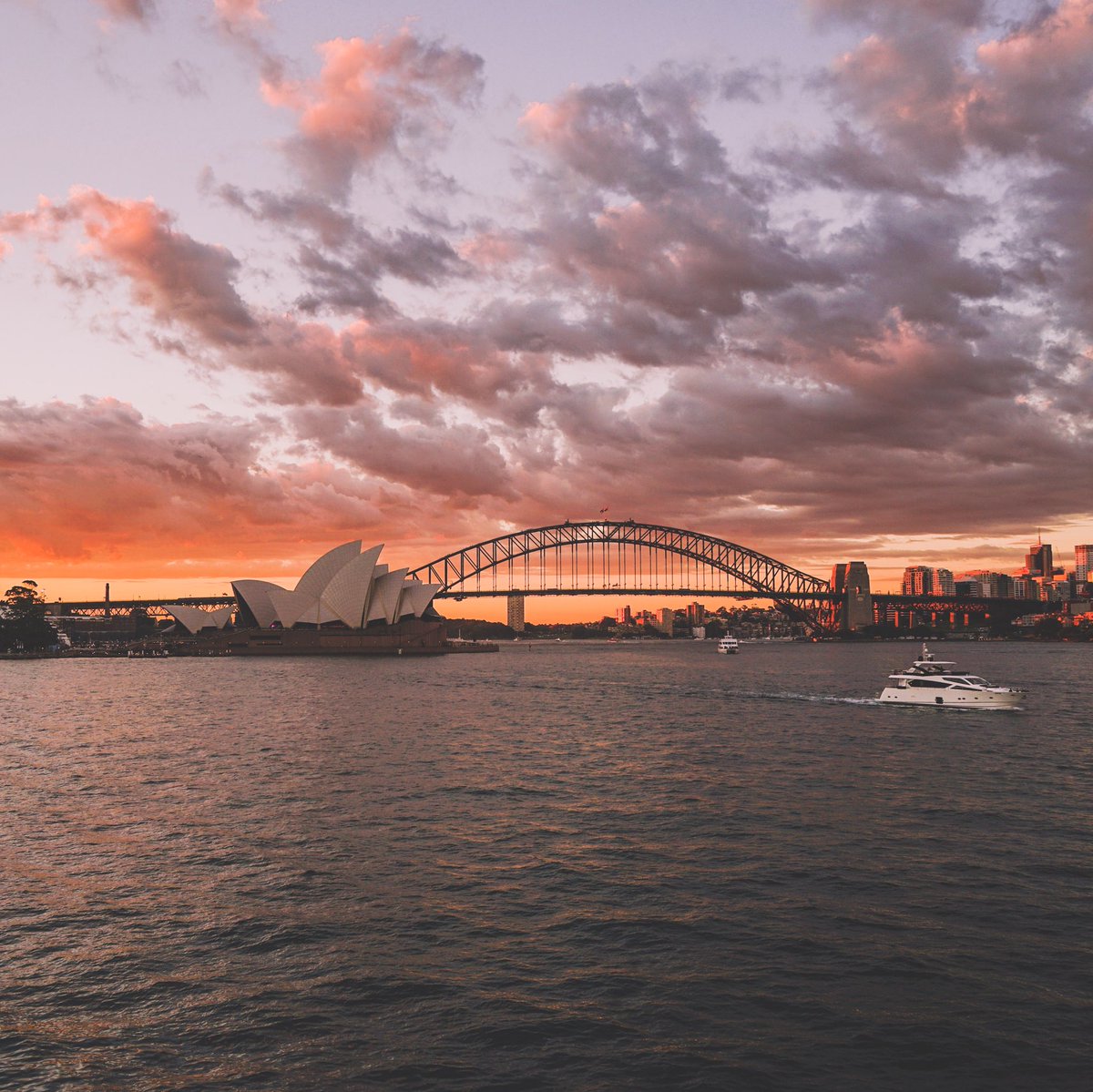 samsonova_karin's tweet photo. Missing sunny weather #sydney #australia #dji #drone #sunset https://t.co/tIkjar8vTb