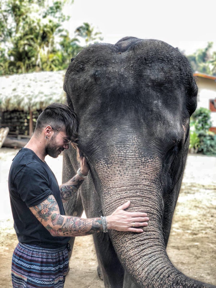 Claudio Sona tweet media