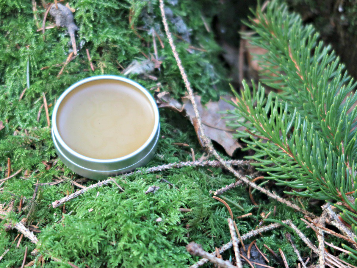 CraftInvaders's tweet photo. Pine Resin has a long history of use by man for everything from medicine to construction. Here we show you how to make a soothing pine resin salve for the skin. https://t.co/WfyOmHcPSy #foraging #bushcraft #herbal #herbalmedicine #trees #nature https://t.co/sJMZDwaPiL