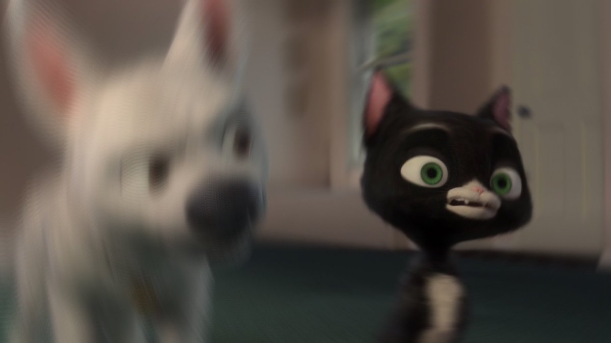MittensCat08's tweet photo. When you accidentally say something that involves a big secret your friend told you. https://t.co/O1jqHwC2yB