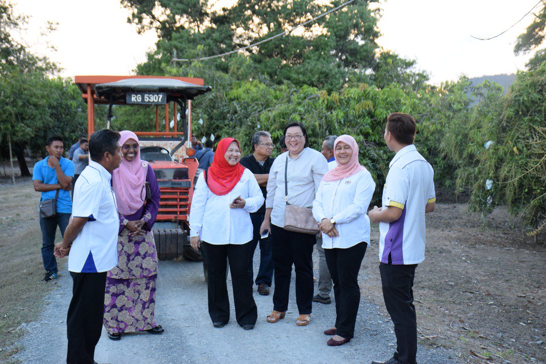 MyDOA_Perlis's tweet photo. Lawatan Timbalan Ketua Pengarah Perkhidmatan Awam Datok Nor Inchun binti Mohamed Salleh ke Pusat Kecemerlangan Harumanis Negeri Perlis
2 March 2018
#pertanianhebat 
#OurFoodOurFuture
@MY1DOA 
@JHarizan 
@DrAliHamsa 
@IsmailBakar60 
@NajibRazak https://t.co/9Mrard4jor