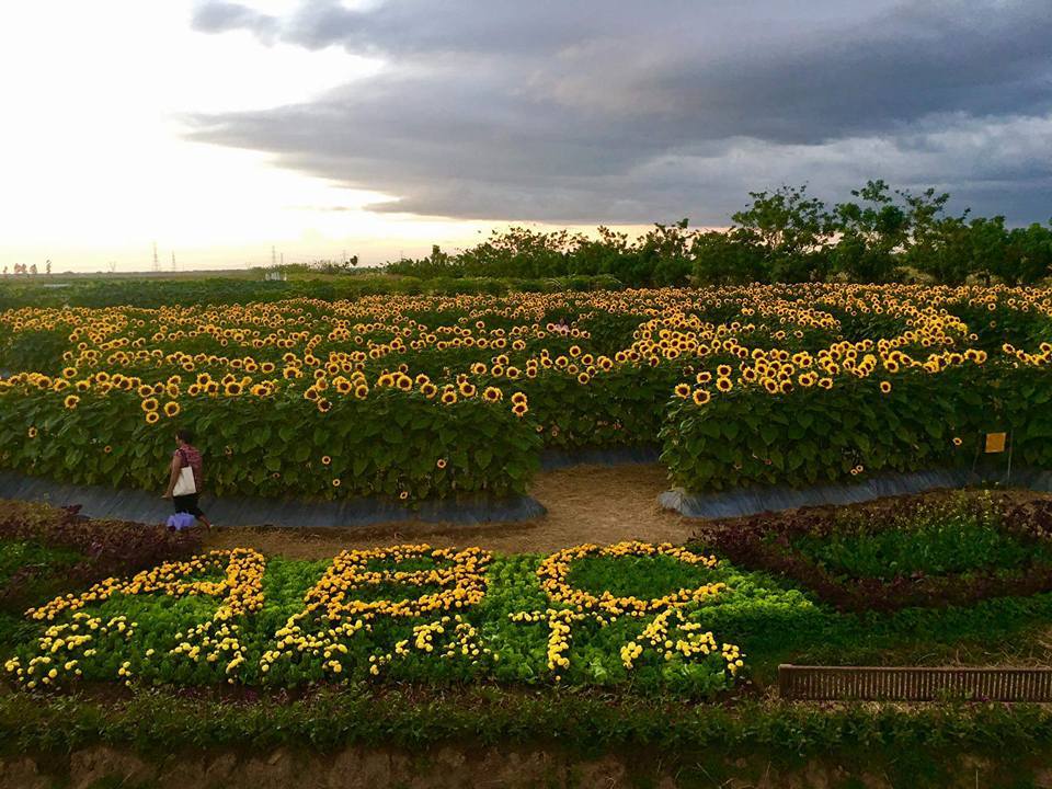 John Michael Rull (@Itsjrull3) | Twitter