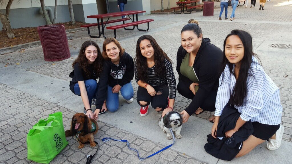 AATHSBC's tweet photo. Zoe welcomes students #MSDStrong #ParklandStrong #MarjoryStonemanDouglas #therapydog #reclaimthenest https://t.co/DvjiwBfWCU