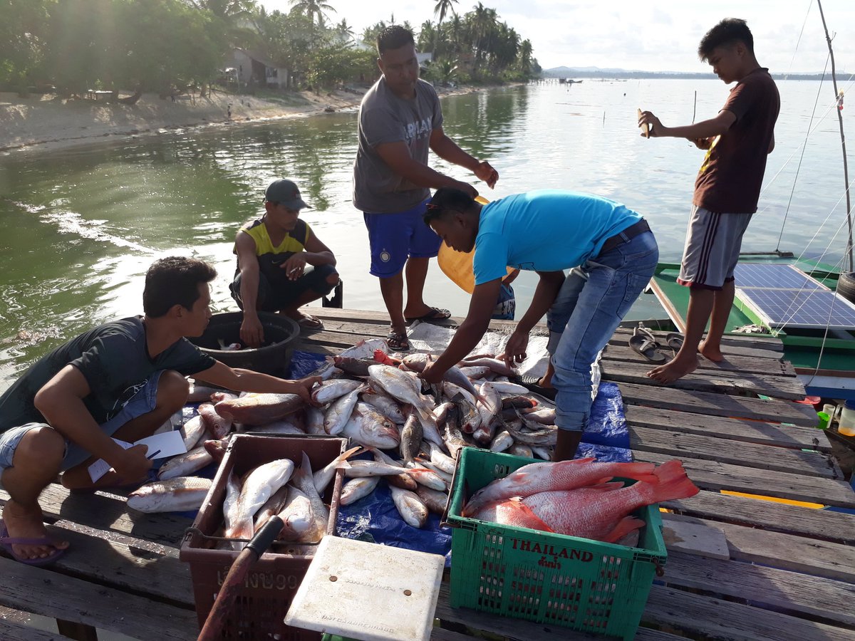 Arifin PPB Natuna tweet media