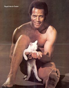 Happy Birthday to Fred Williamson! He is a gift that keeps on giving. 