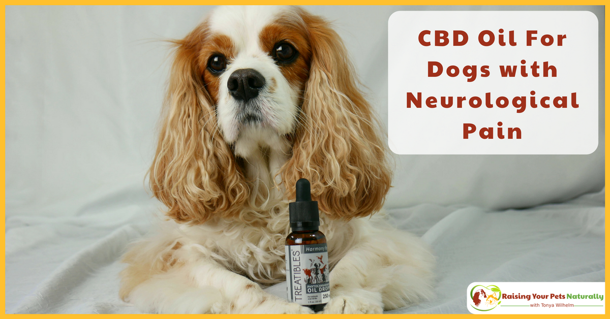dogtrainer4ever's tweet photo. #CBDOilForDogs w/ #Neurological Pain. #sponsored Dexter's #caninerehab #veterinarian prescribed #cbdoil Learn why. https://t.co/1udyz9uIyp #cbd #potforpets #hempfordogs #treatiblesandchill #MyTreatibles #hemp #Treatibles #phytocannabinoids @dogtrainer4ever @treatibles https://t.co/snmehKU5zK