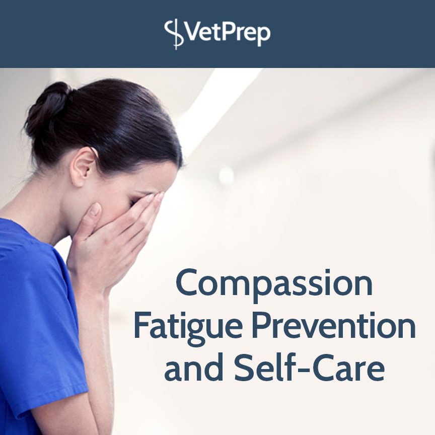 SecretLife_Vets's tweet photo. Compassion Fatigue Prevention and Self-Care https://t.co/2vYQ2QEDHe #Veterinarian #VetPrep https://t.co/Qf3dCRekZs