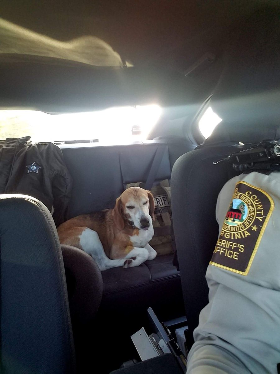 Deputy Murphy found this guy wondering around on a busy road....so she rescued him. Looks like he enjoyed the ride. 😉🤗🐶 #K9 #SavedbythePolice