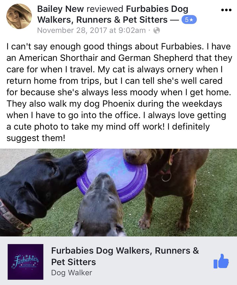 DogWalkerDallas's tweet photo. ⭐️⭐️⭐️⭐️⭐️ Thank you for take my the time to review us! We LOVE our job! #dogwalking #dallasdogwalker #universityparktx #highlandparktx #uptowndallas #uptowndallasdogwalker #dallascats #dogsofdfw https://t.co/FoZrOVfUh7