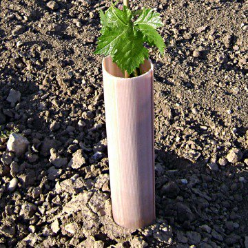 Agroterra tweet media