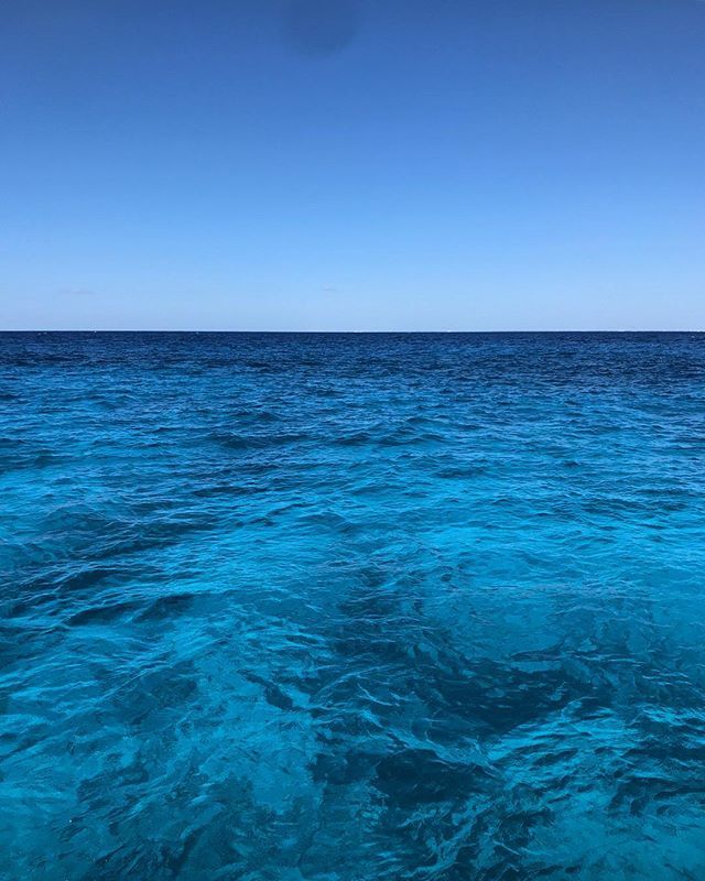 First_We_Eat's tweet image. The bluest of waters off of Cozumel. #DontMakeMeMexiGoHome ift.tt/2oImpoy