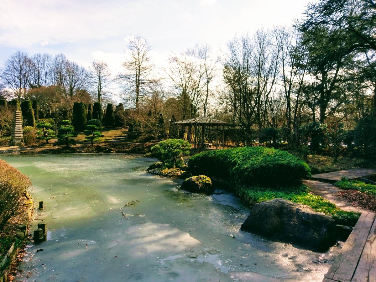 AkoSiAys's tweet photo. Japanische Garten in @BonnerRheinaue 
#Bonn https://t.co/0S9HiZQfJY
