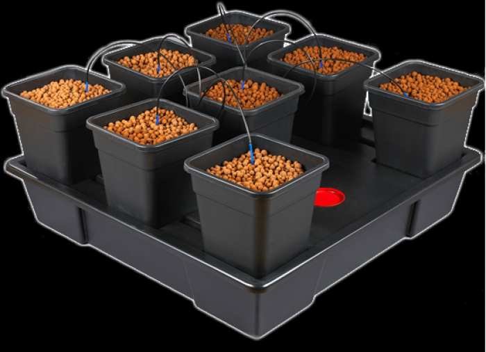 NutGrowSystems's tweet photo. Life is too short to hang around watering plants. Choose #Wilma for 3x bigger yields than hand-watering: 
https://t.co/qiyGYEuGoa https://t.co/AD6K6nmIhA