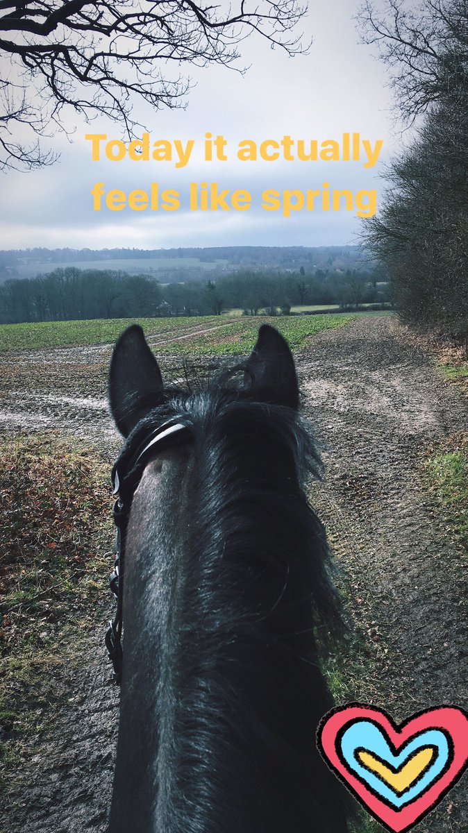 My happy place! #stylereins #247equestrian