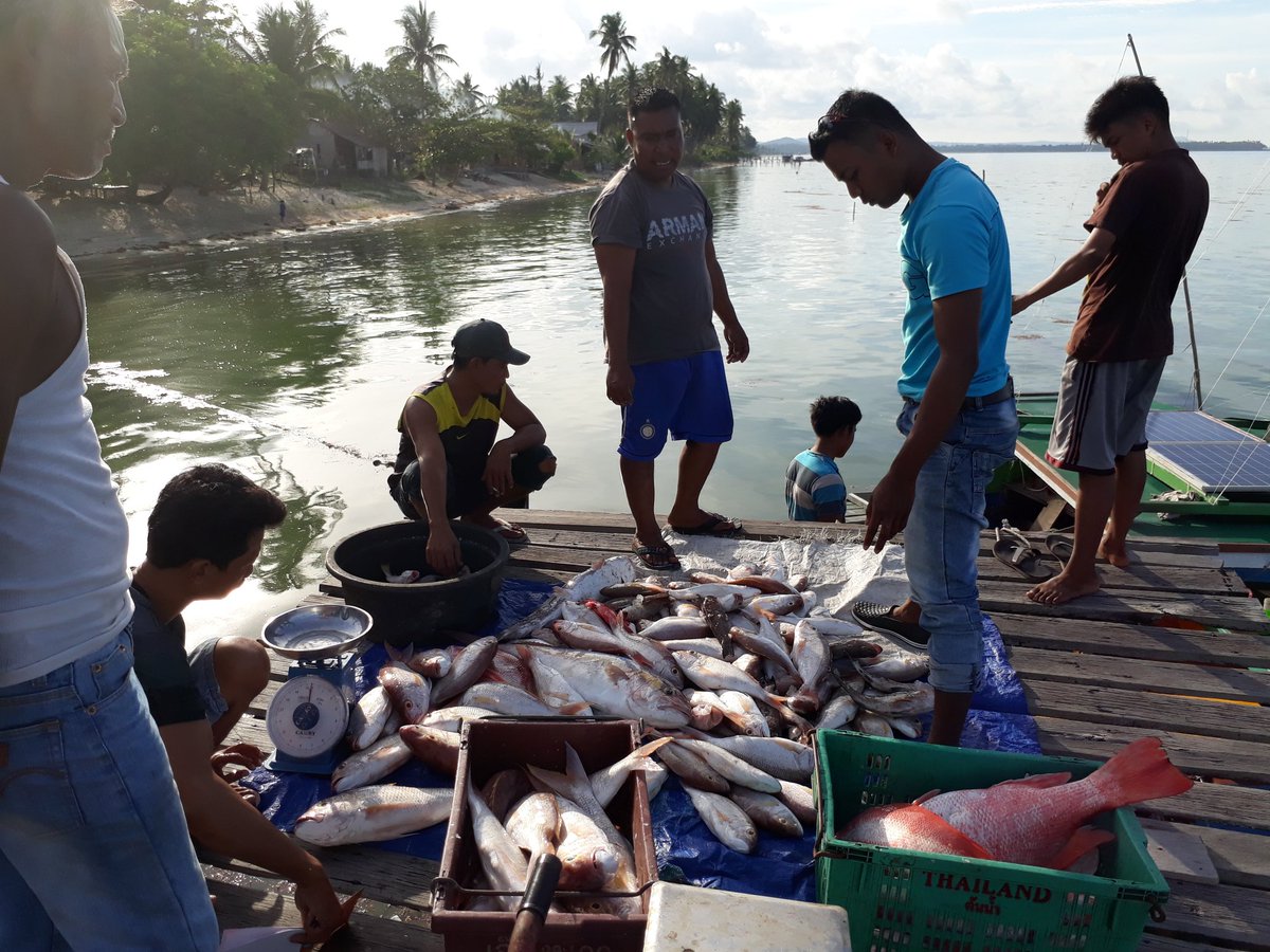 Hasil tangkapan nelayan sepempang <a href="/mzulficar/">ZulficarMochtar</a> <a href="/susipudjiastuti/">Susi Pudjiastuti</a> <a href="/djpt_kkp/">Direktorat Jenderal Perikanan Tangkap</a>  @dit_ppi <a href="/fisheris_/">PENYULUH PERIKANAN BANTU</a> @ITJEN_KKP