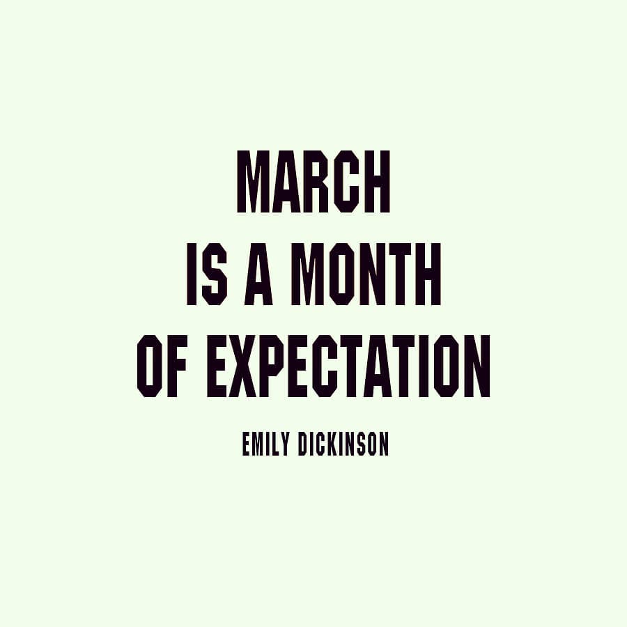 And our expectations are so high !! 👊🚀😎
Notre équipe vous souhaite un excellent début de semaine ! ☀️
#MondayMotivation #HardWork #Innovation #Startup