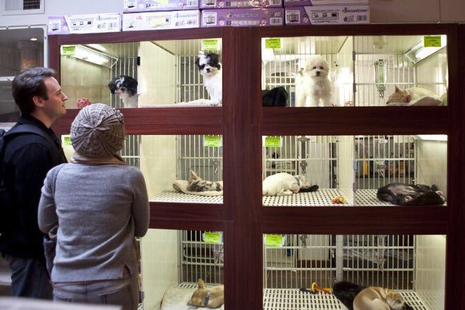Humane World for Animals UK tweet media