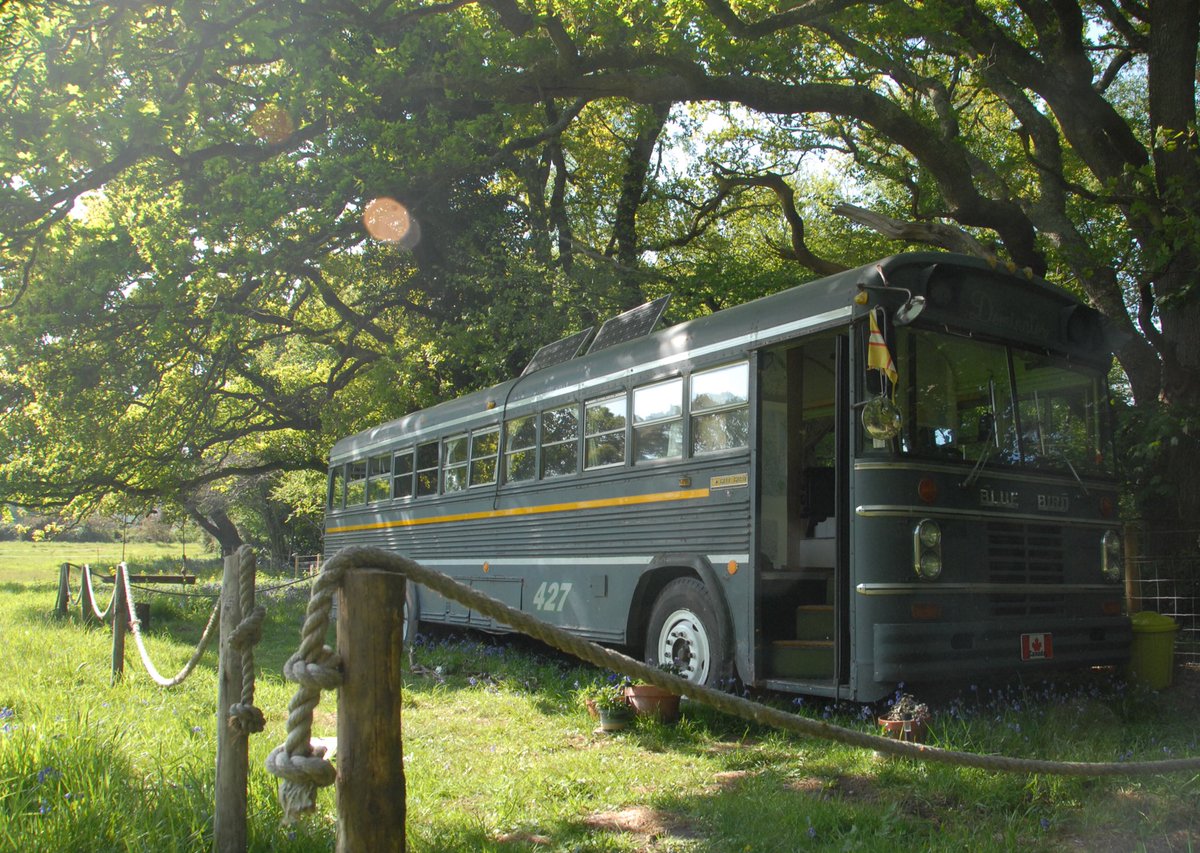 busnbreakfast tweet media