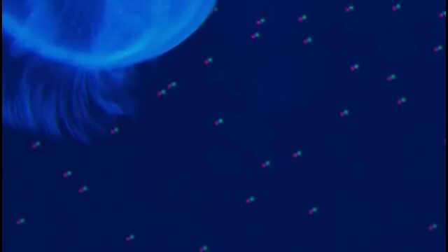 KaroKyuuri's tweet image. 水族館に行こう∬Remix∬ ft.重音テト #DnB #GlitchHop nico.ms/sm32833348?ref… #sm32833348 #ニコニコ動画