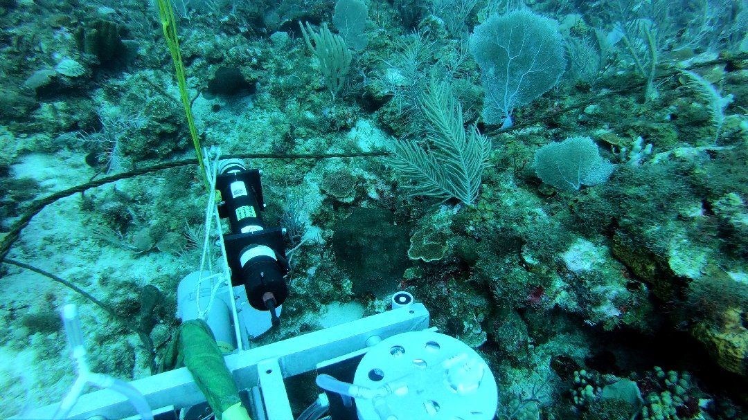 RestoreCorals's tweet photo. @dradamcandy @NICOexpedition @NIOZnieuws @CoralsCN @NIOZatSea @caribbean_watch weather on the Saba Bank changes but we continue in 4m swell with our water gradient sampler https://t.co/zK6GxiwDmn