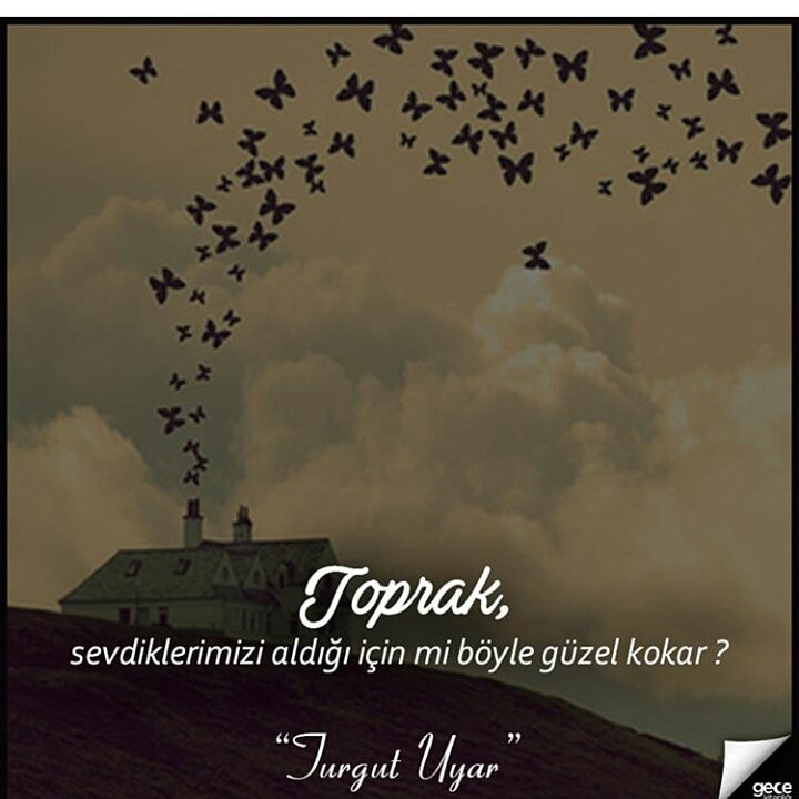 Şehri Koral (@sehrikoral) on Twitter photo 