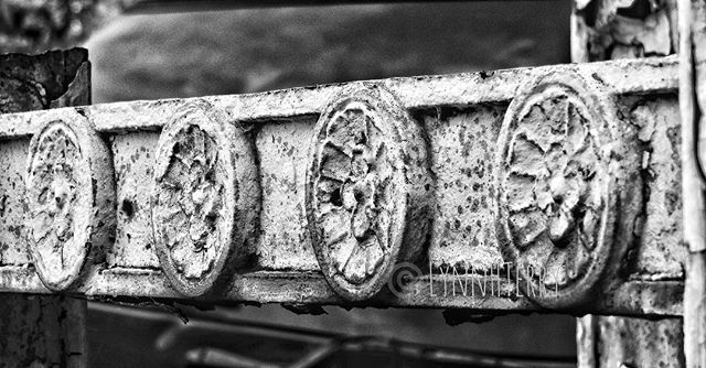 skinnyblynn's tweet photo. Before renewal spared a tool ~
#instagrambham #instagram #skinnyblynnonthestreet @tjtower #TheCabana #birminghamalabama #blackandwhitephotography #architecture #nikon #renewal #leertower #mycopyright #myphotography #historical #remember #onlyme #cared https://t.co/dHKRfkF0cJ