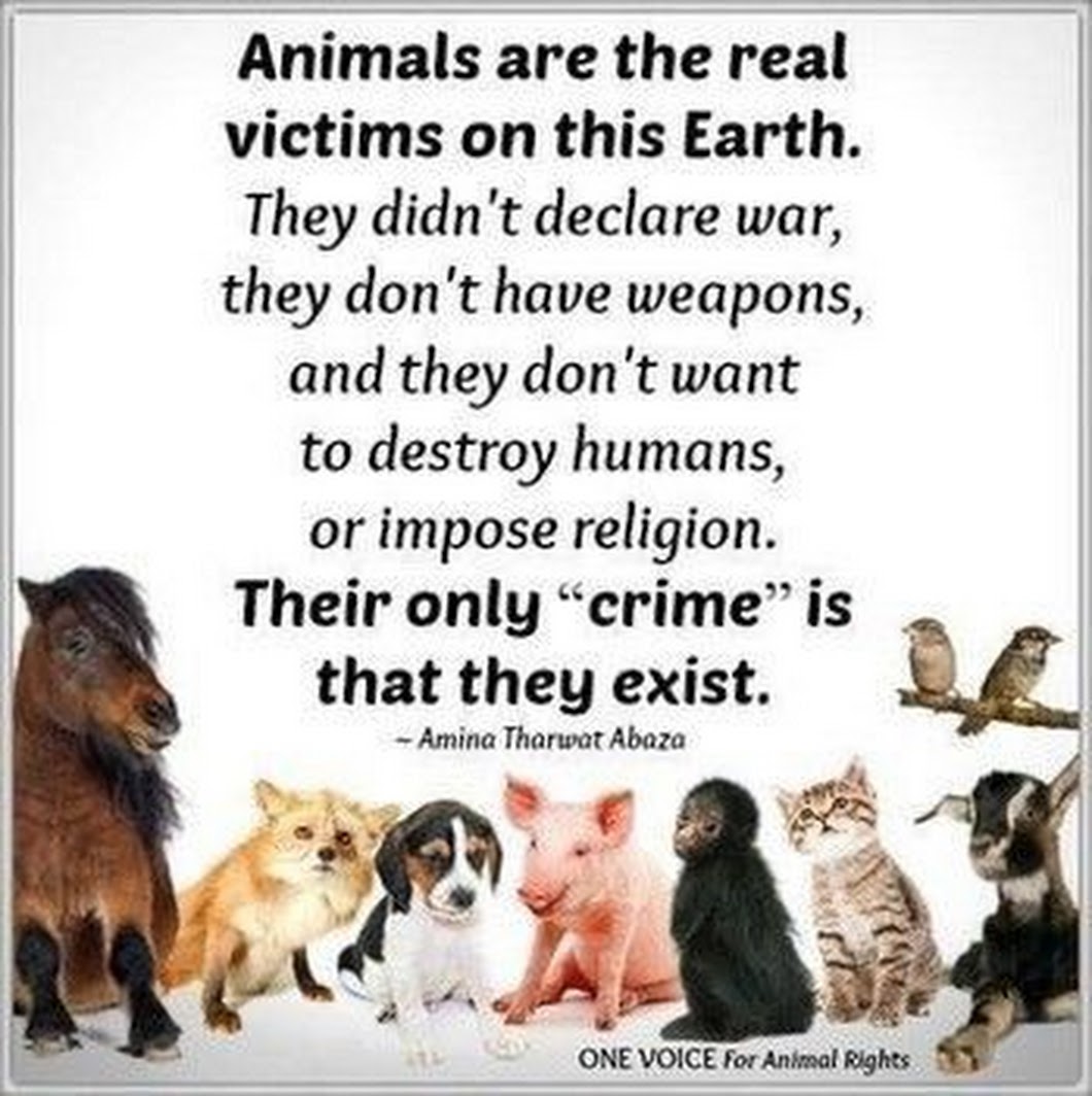 Sarah ☮ & ··❤️╲╱☰ Ⓥ🐘🐯🐬🐷🐥🐄 on Twitter: Sarah ☮ & ··❤️╲╱☰ Ⓥ🐘🐯🐬🐷🐥🐄 on Twitter: