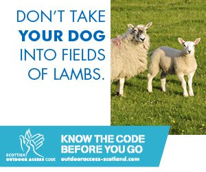 NatureScot (@naturescot) on Twitter photo Appeal to dog owners. As spring is here, please be mindful when you are out and about with your canine pals. Follow our tips on keeping livestock & your pet safe. Happy working with <a href="/PoliceScotland/">Police Scotland</a> <a href="/NFUStweets/">NFU Scotland</a> <a href="/ScotLandEstates/">Scottish Land & Estates</a> @NS_Scotland. Visit jessthedog.org.uk Appeal to dog owners. As spring is here, please be mindful when you are out and about with your canine pals. Follow our tips on keeping livestock & your pet safe. Happy working with <a href="/PoliceScotland/">Police Scotland</a> <a href="/NFUStweets/">NFU Scotland</a> <a href="/ScotLandEstates/">Scottish Land & Estates</a> @NS_Scotland. Visit jessthedog.org.uk