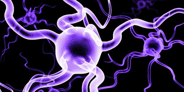 BirkbeckScience's tweet photo. Proud to report that #Psychology ranked in top 30 + #Biology ranked in top 40 at UK level in 2018 #QSWR by Subject https://t.co/jX2gd8PqmG https://t.co/A3dJtIVT5d