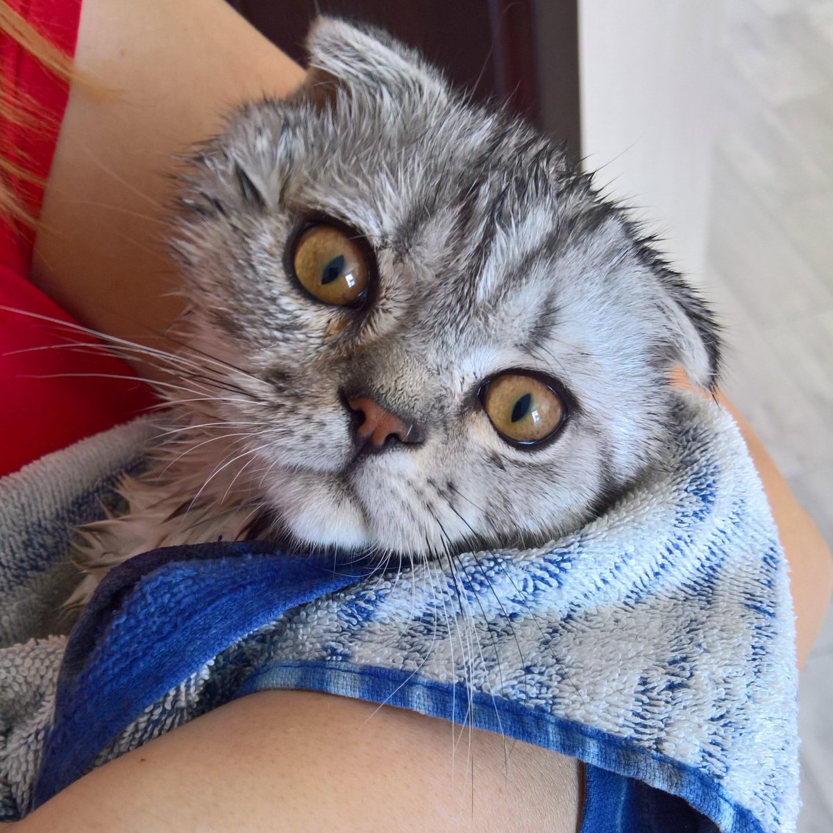 ������� ������ ����� � pic 7