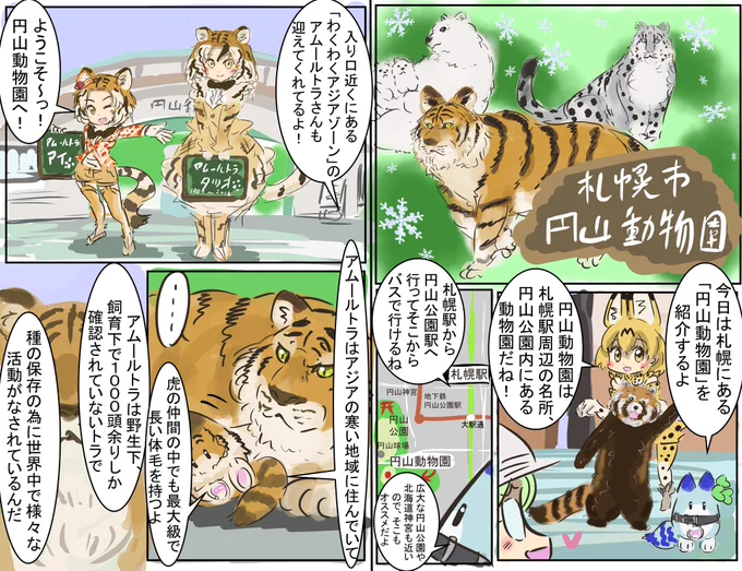 今月１３日に待望のホッキョクグマ館がオープンするそうです！
　#円山動物園　#maruyamazoo　#けものフレンズ 