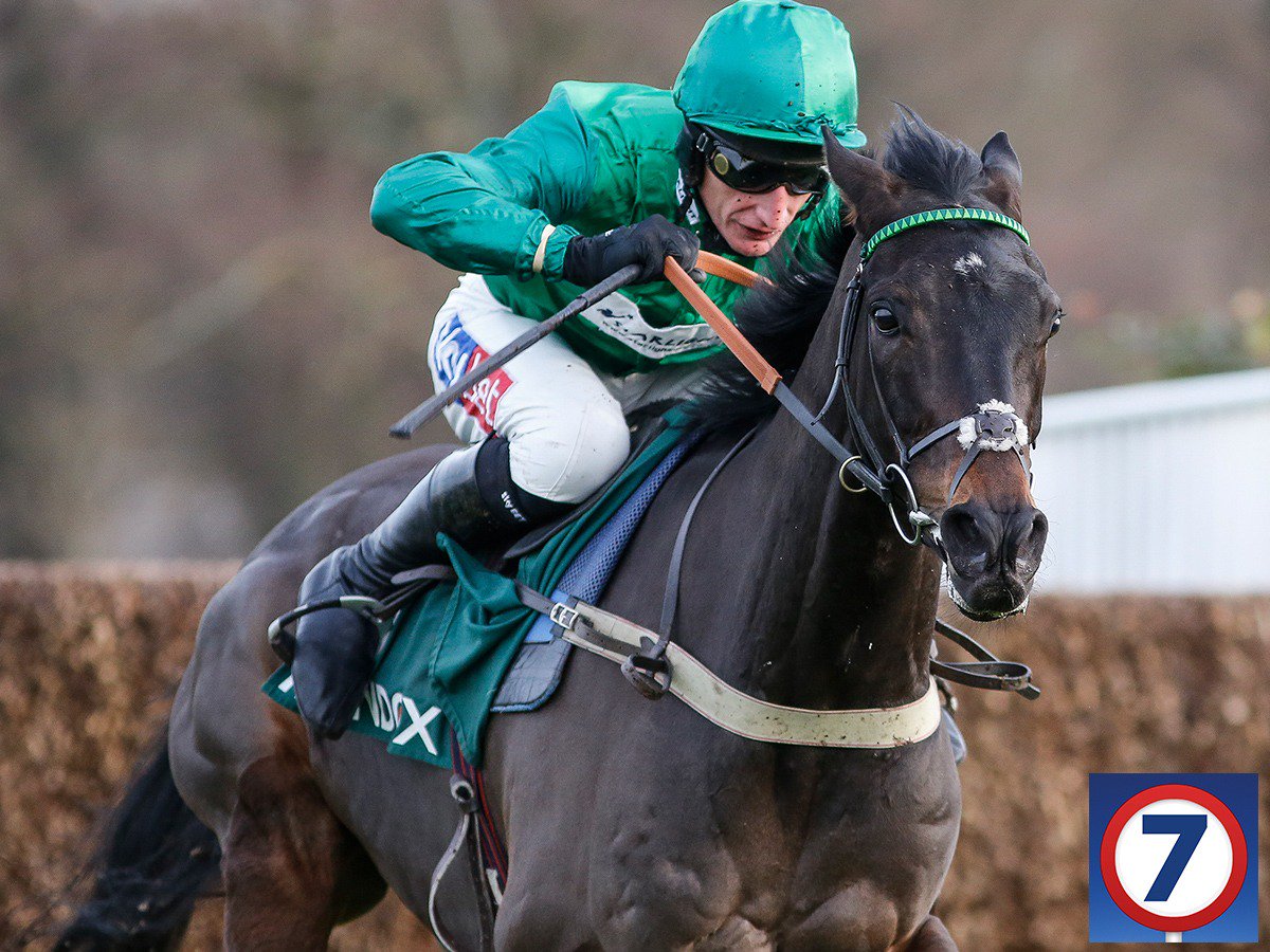 Pick7's tweet image. 😬 Sceau Royal will miss the Arkle after suffering a setback.

🤔 Will Footpad ease the pain for the owners?