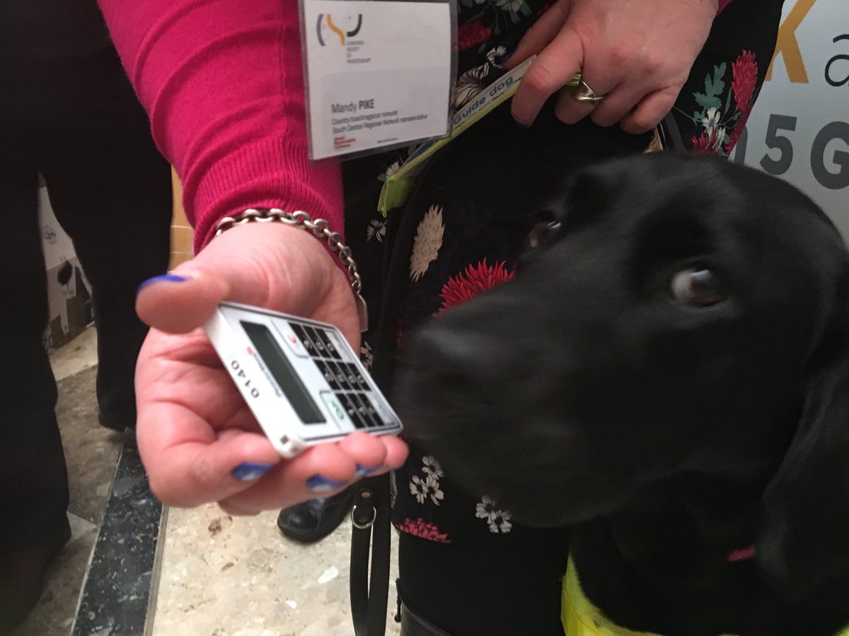 CspMindy's tweet photo. Arriving at #csparc18 with buttons at the ready for voting @CSPsouthcentral #teammable https://t.co/kEqcMOfN0q