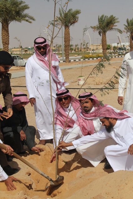 albotain's tweet photo. أطلقت #بلدية_البطين بالتعاون مع اعضاء لجنة اصدقاء البيئة بالبطين  المرحلة الثانية من حملة تشجير تحت شعار #أرض_القصيم_خضراء https://t.co/WHYMQPTeZv
