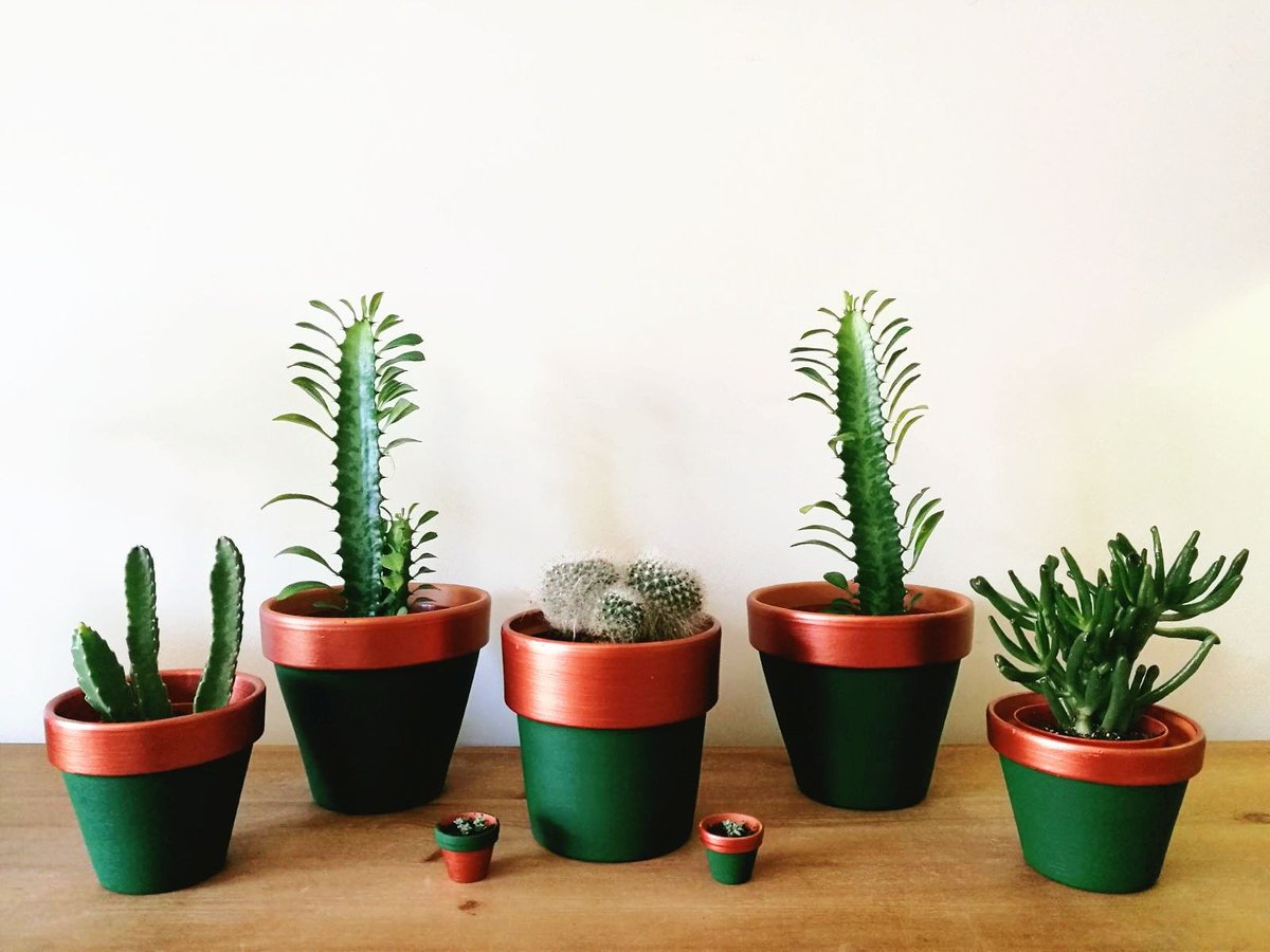 Copper &amp; Sap Green pots available in various sizes now! You can buy these in <a href="/Madein_Nottm/">Made in Nottingham</a> from tomorrow, or email me if you'd like a specific size posting to you. They make the perfect Mother's Day gift, cacti and succulents last much longer than flowers! 

#handmade #etsy