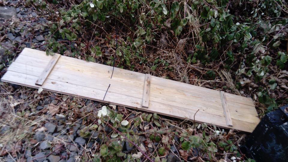 Leider gibt es immer wieder Vandalismus an den Hochbeeten oder den Beschilderungen drumherum. Wenn jemand etwas beobachtet hat, schreibt uns bitte eine Nachricht.