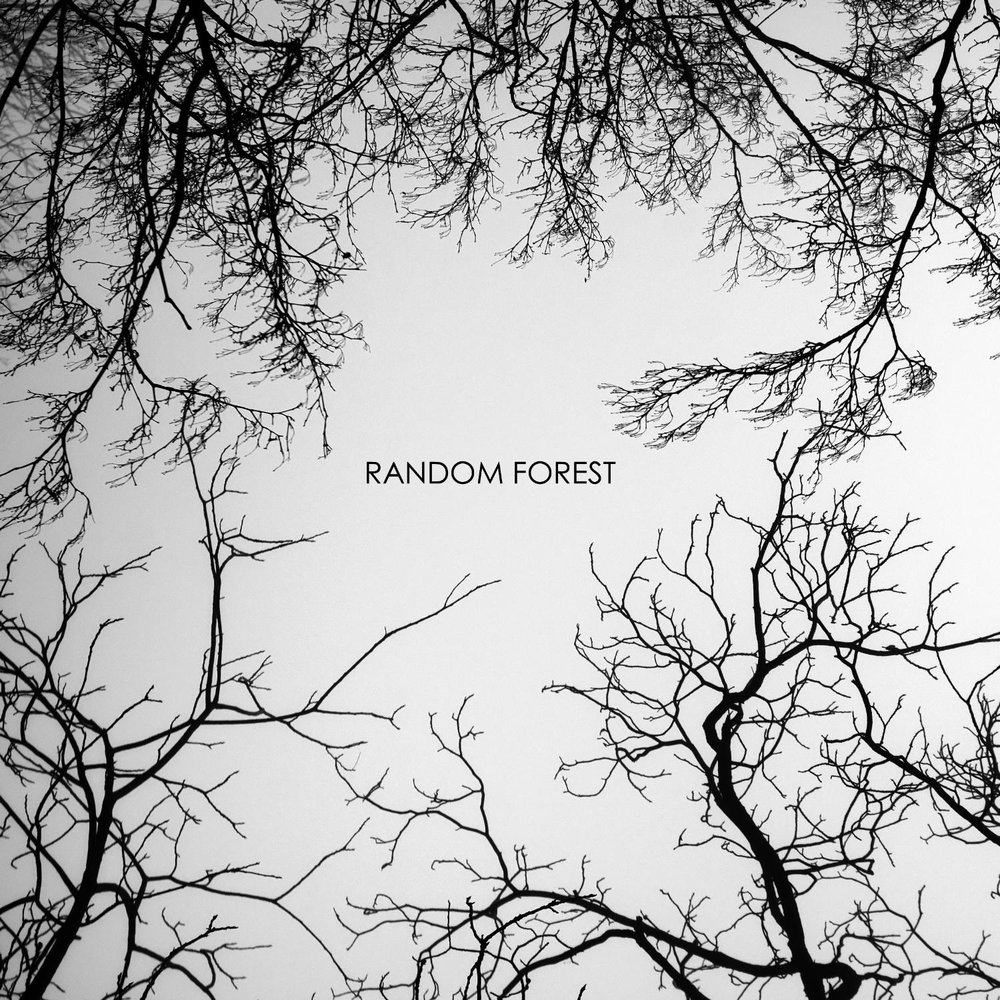 ykashnitsky's tweet photo. Topic 5 of the Open Machine Learning Course is mostly about Random Forests, the model of first choice in lots of ML applications. In the assignment, you'll have a chance to compare RF to logistic regression in a credit scoring task. https://t.co/UNvCvHjxt6 #mlcourse_open https://t.co/6mFl6i92dS