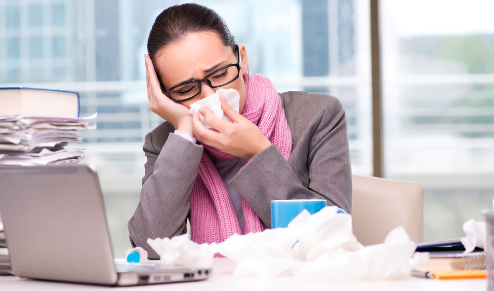 Plant_HQ's tweet photo. Why investing in plants for your office can help reduce staff sickness. #healthy #healthyoffice #office #workers https://t.co/PM4p6OF7bQ https://t.co/VOEdaVpPgA