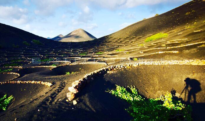 Hello Monday from Lanzarote. Here are our 3 highlights to look forward to #MondayMotivation eco-insider.com