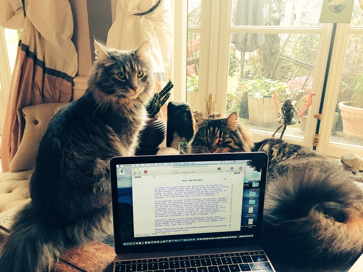AudreyDanaOff's tweet photo. #écriture #hommesaborddelacrisedenerfs #version1 du scénario @claireb1907 #prochainfilm... les chats veillent https://t.co/ICZjkTXcu2