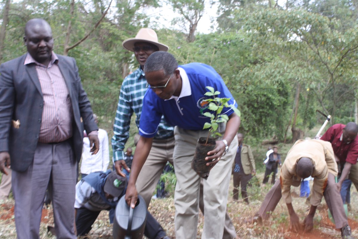 CoopVarsityKE's tweet photo. The Ag. Vice Chancellor of The Co-operative University of Kenya Prof. Kamau Ngamau (in a Blue Polo T-Shirt) takes action towards #SavingOurForestsKE @UNEP @UNEP @AUSAKenya @graduationKE @juliusbitok @CoopBcom2013  @mwongelaf @EMuyesu @MaiguaKenya @MwaiKiarie @GreenBeltMovmnt https://t.co/sRpF0x2Irr