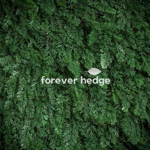 forever_hedge's tweet photo. Look at our extremely dense and easy to cut hedges. 
-Price: $60.00
-Highly reaslistic
-Perfect size and longevity
.
Buy now >> https://t.co/alDRVUbpau
.
#ArtificialLawn #ArtificialPlants #ArtificialGreenery #HomeDecor #Decoration #VerticalGarden #ForeverHedge #MarketingMonday https://t.co/jtvOQOqMpg